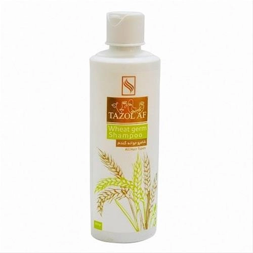 شامپو مو تازولاف مدل جوانه گندم حجم 300 میل
